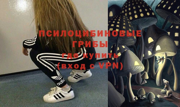 индика Белокуриха