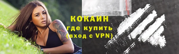 индика Белокуриха