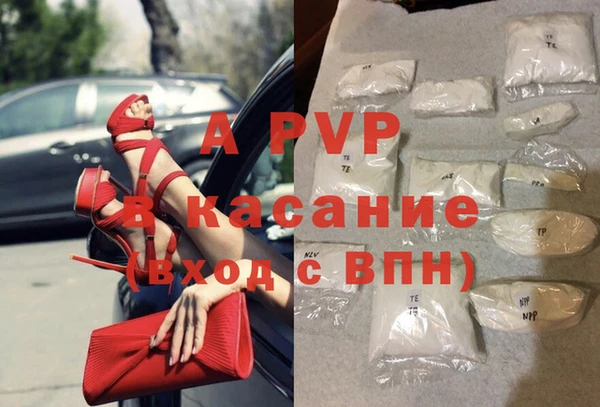 индика Белокуриха