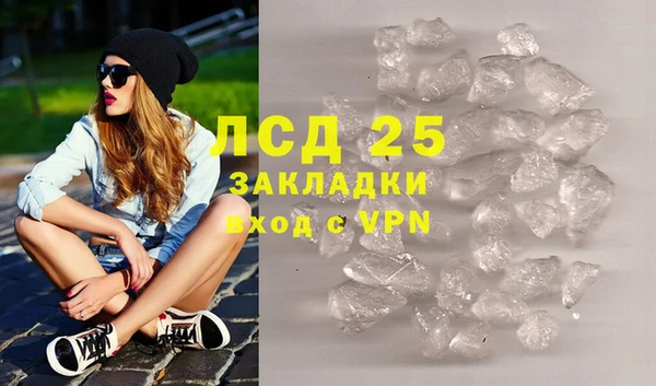 индика Белокуриха