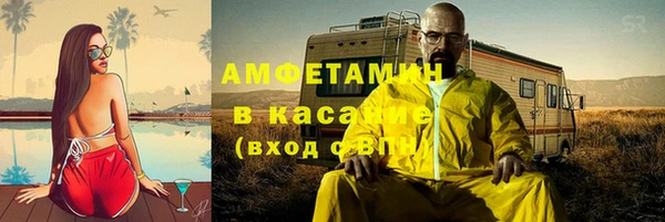 индика Белокуриха