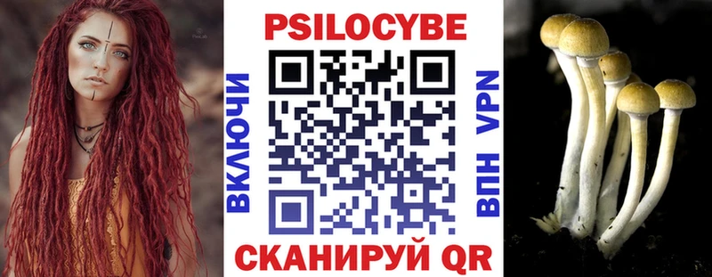 наркота  Туймазы  Псилоцибиновые грибы мухоморы 